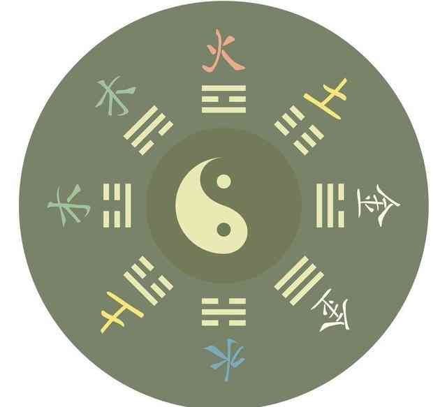 精准一肖,深度解析准确性的含义、理解与应用,警惕犯罪风险潮流版4.95