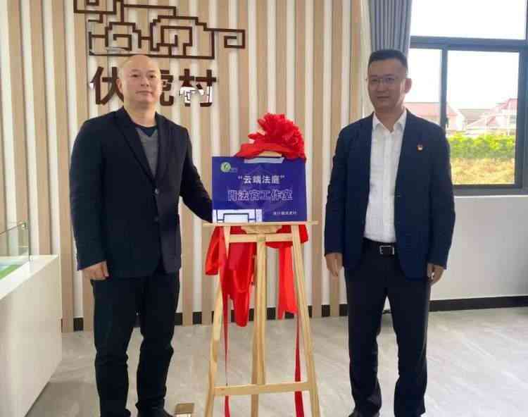 一肖100%中,快速解答计划设计_云端版88.43.29