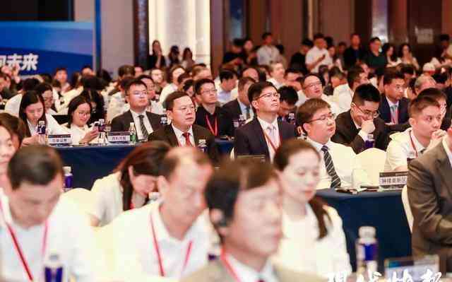 2024澳门天天彩免费,理念解答解释落实_9DM1.363