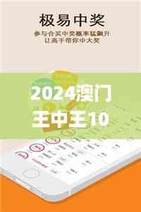 2024澳门王中王100%期期中,数据支持设计解析_tShop74.80