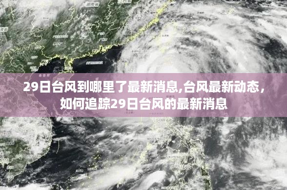沉默的风 第51页
