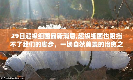 江南烟雨断桥殇 第48页