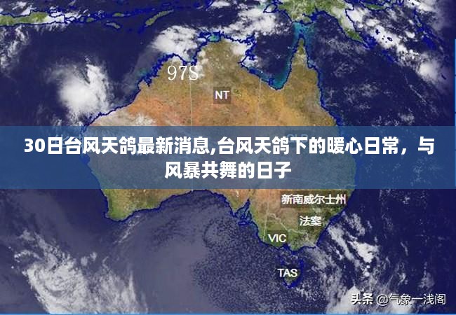 橘虞初梦 第47页