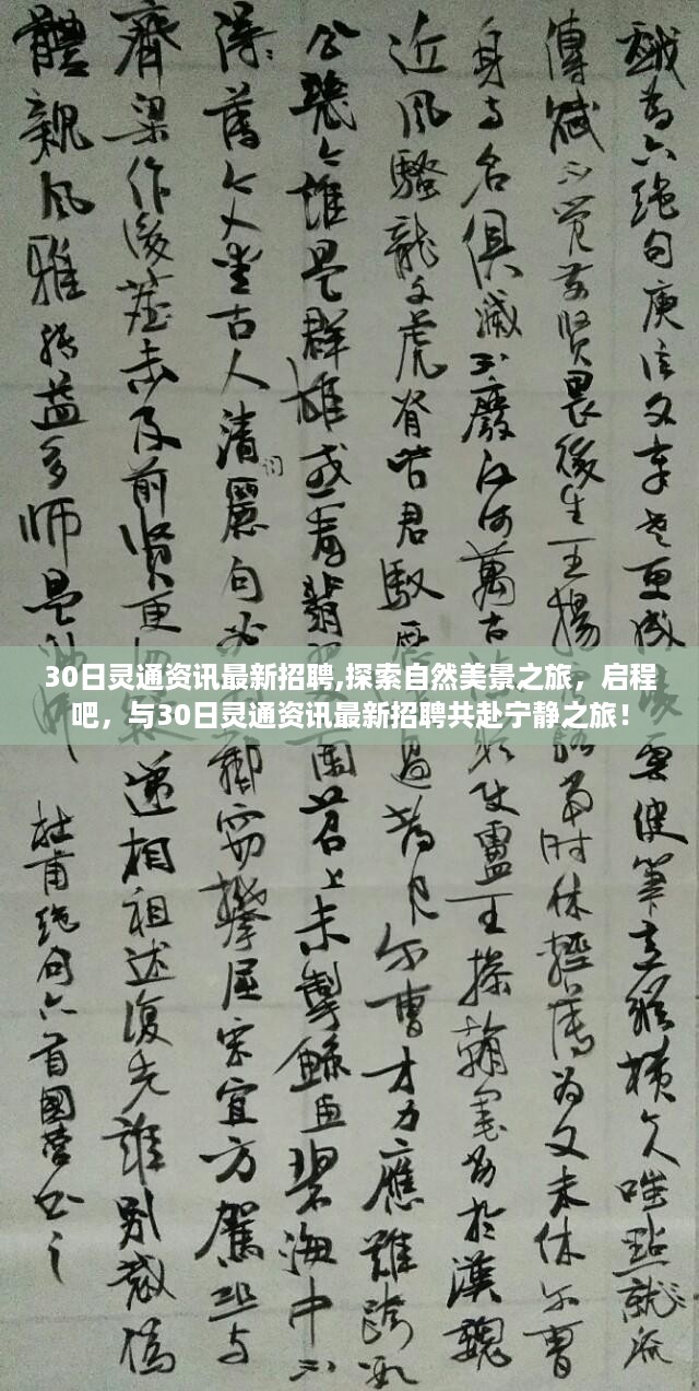 沉默的风 第46页