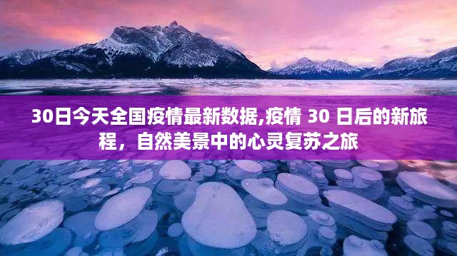 花开无言 第44页