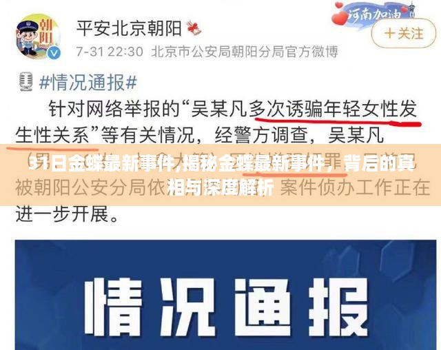 揭秘金蝶最新事件背后的真相与深度解析,深度探究与最新进展