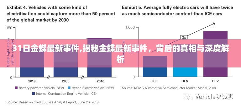 揭秘金蝶最新事件背后的真相与深度解析,深度探究与最新进展