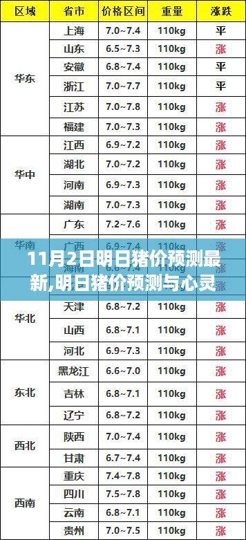 橘虞初梦 第31页