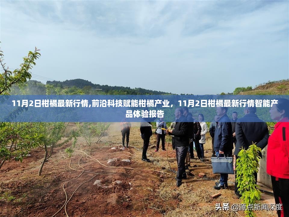 沉默的风 第31页