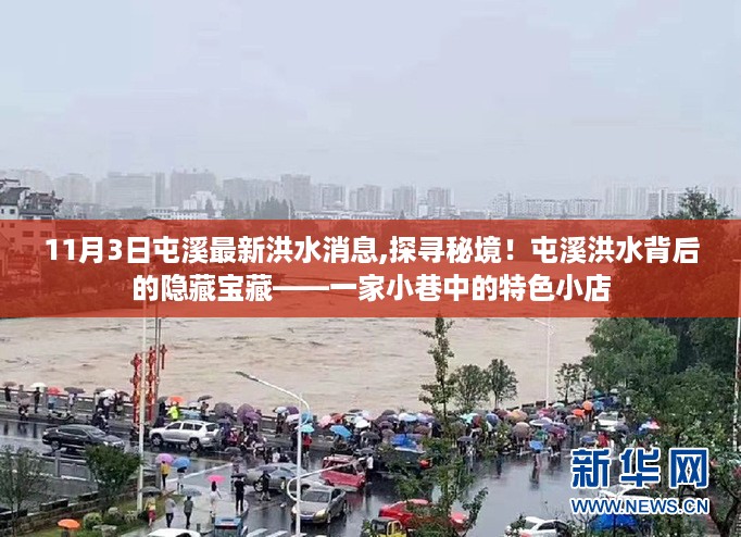 花开无言 第30页