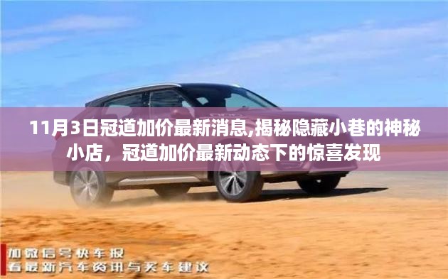 沉默的风 第29页