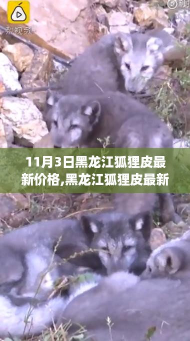 江南烟雨断桥殇 第31页