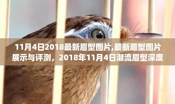 云烟 第25页