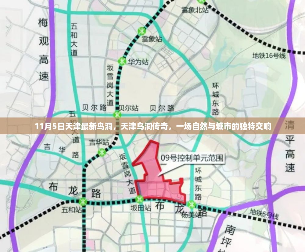 悠然自得 第24页