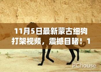 风驰电掣 第21页