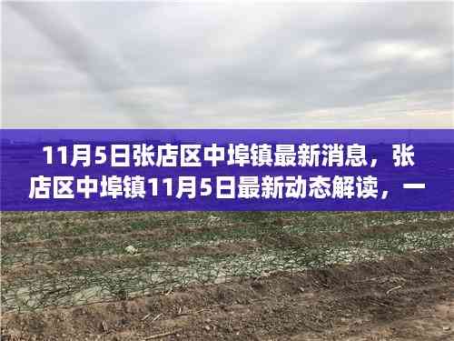 张店区中埠镇最新动态解读，掌握关键信息的深度剖析（11月5日）