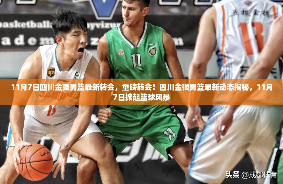 重磅转会揭秘!四川金强男篮11月7日掀起篮球风暴,最新动态一览无余!