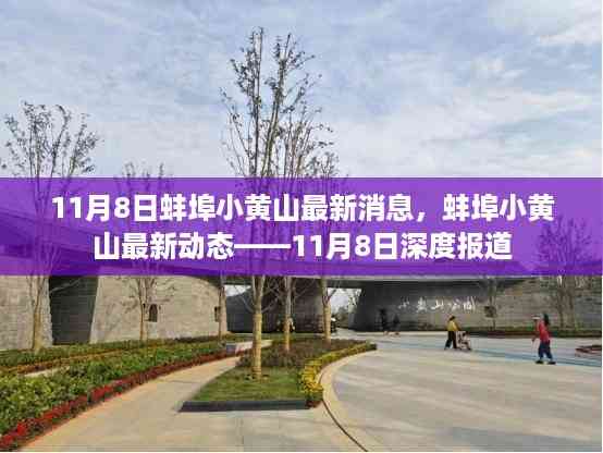 蚌埠小黄山最新动态深度报道,11月8日更新消息