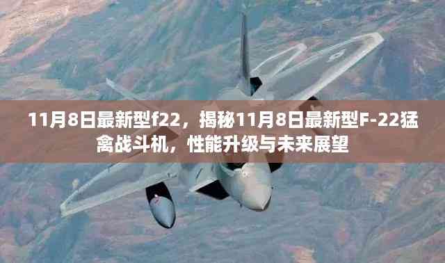 揭秘,最新型F-22猛禽战斗机性能升级与未来展望(11月8日版)