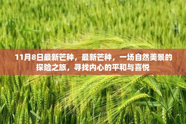 废寝忘食 第19页