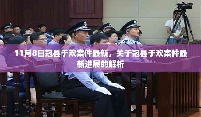 冠县于欢案件最新进展解析,11月8日最新消息揭秘