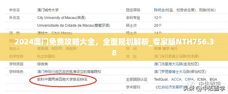 2024澳门免费攻略大全,全面规划解析_专家版NTH756.38
