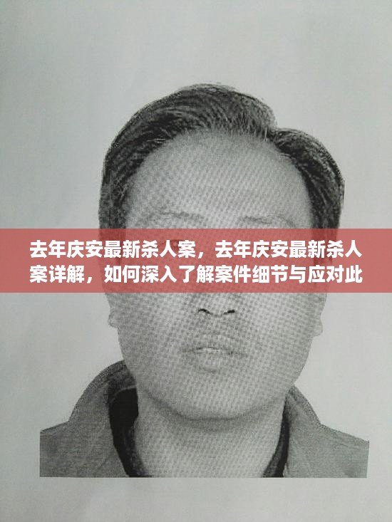 去年庆安最新杀人案详解,深入了解案件细节与应对策略