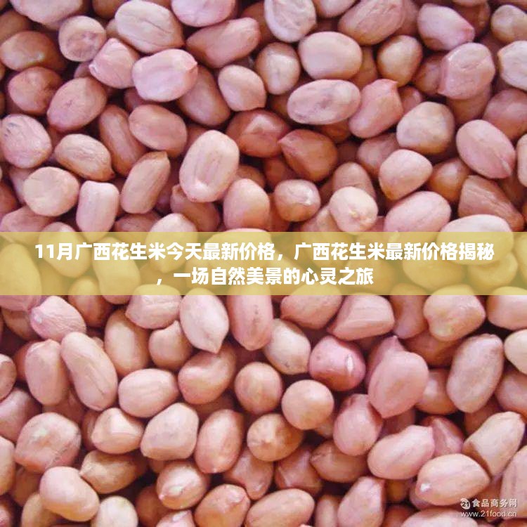 广西花生米最新价格揭秘,自然美景下的心灵之旅