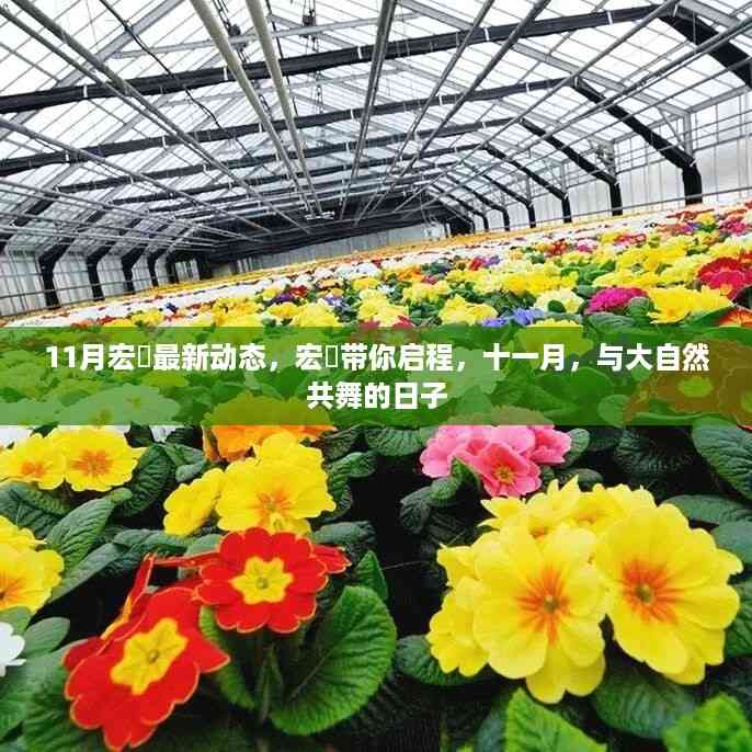 宏碁十一月动态,与自然共舞,创新科技启程