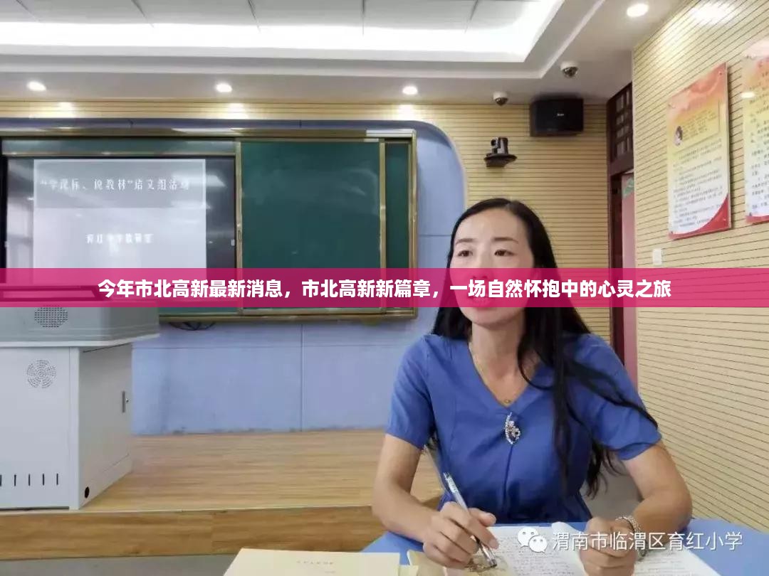 走马观花 第15页