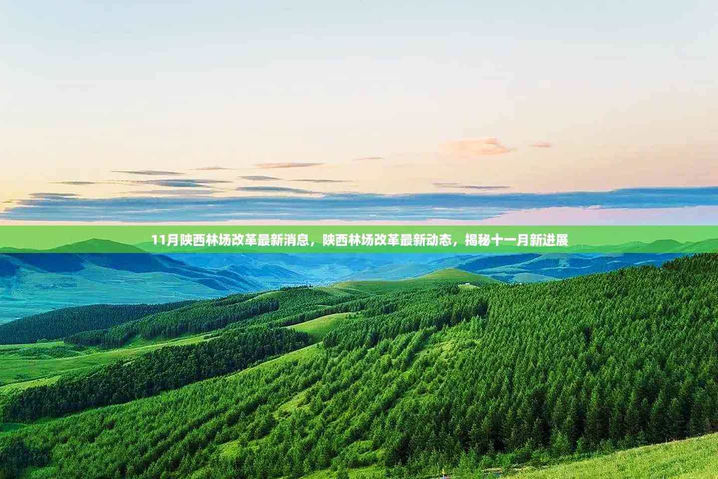 揭秘陕西林场改革十一月新进展与动态,最新消息一览