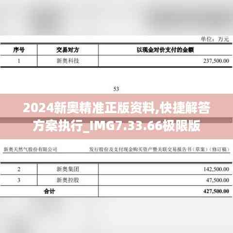 2024新奥精准正版资料,快捷解答方案执行_IMG7.33.66极限版