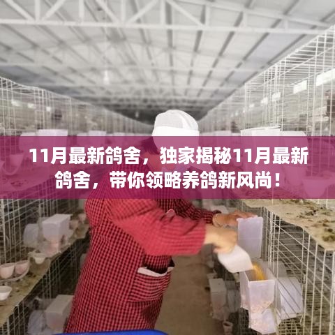 dangranwucun 第9页