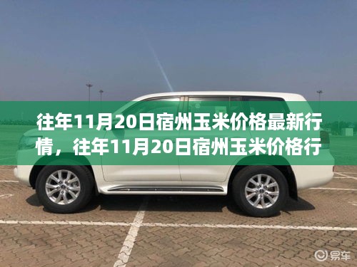 xizhaiwangqi 第11页