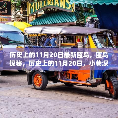 nifengfeiyang 第10页