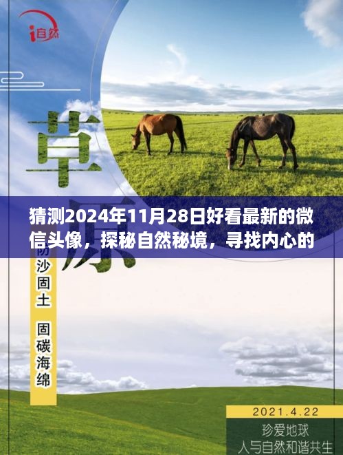 zhangmingfugui 第10页