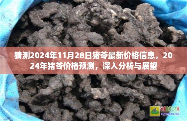 云烟 第12页