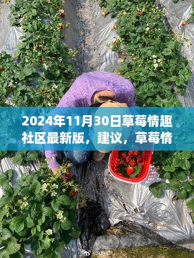 草莓情趣社区最新版,探索自然美景之旅,内心的宁静与喜悦体验(2024年11月30日)