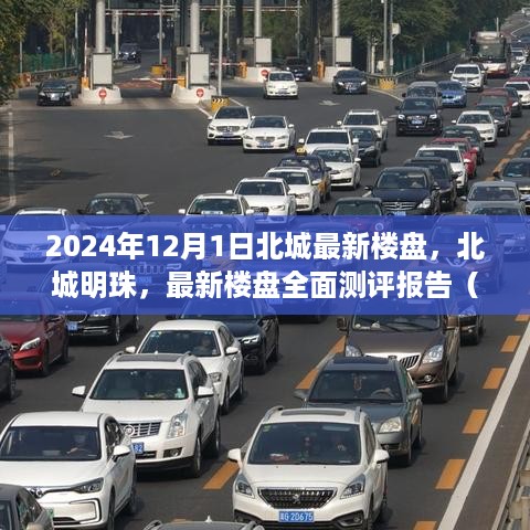 花开无言 第9页