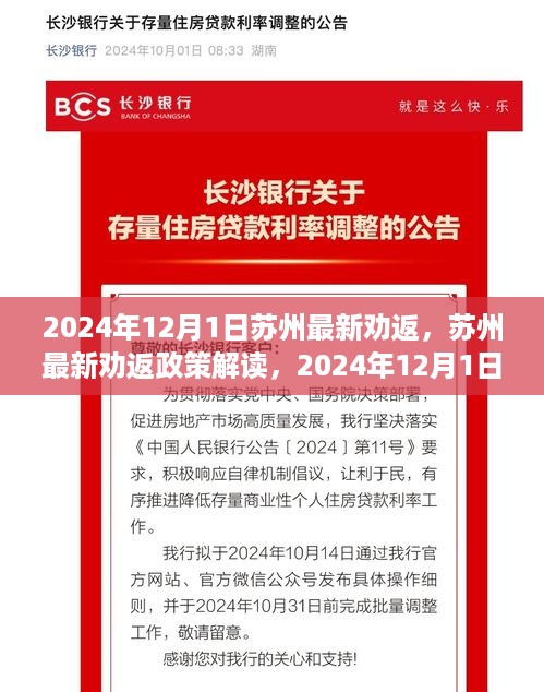 baichiwuzhi 第8页