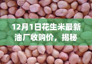 风驰电掣 第8页