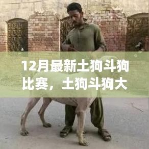guangmingleiluo 第7页