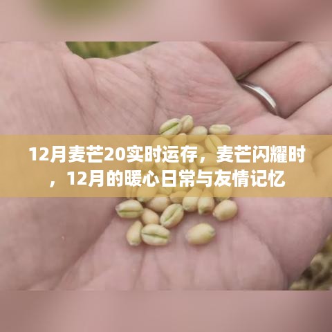 ruixuefenfei 第6页