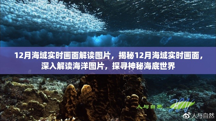 文质彬彬 第7页