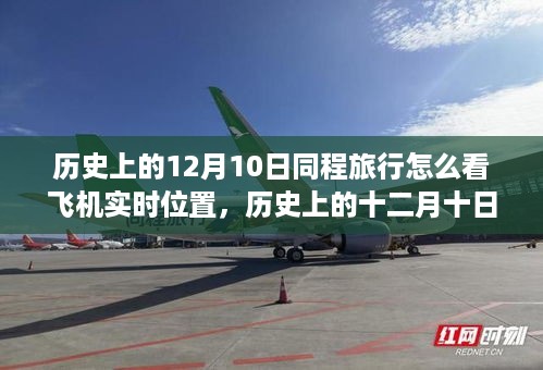 niaofuweichao 第7页