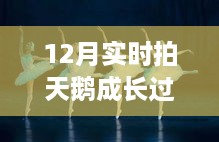 shenzhongqishi 第7页