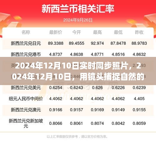 初遇在故事开头 第6页