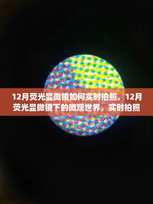 江南烟雨断桥殇 第5页