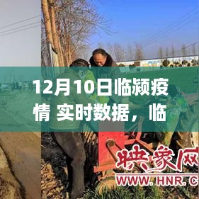 沉默的风 第5页