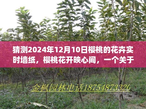 duzhongzhigui 第5页